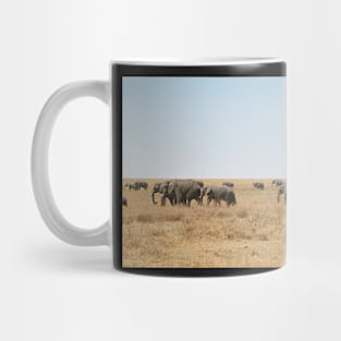 Elephant Herd, Serengeti, Tanzania Mug